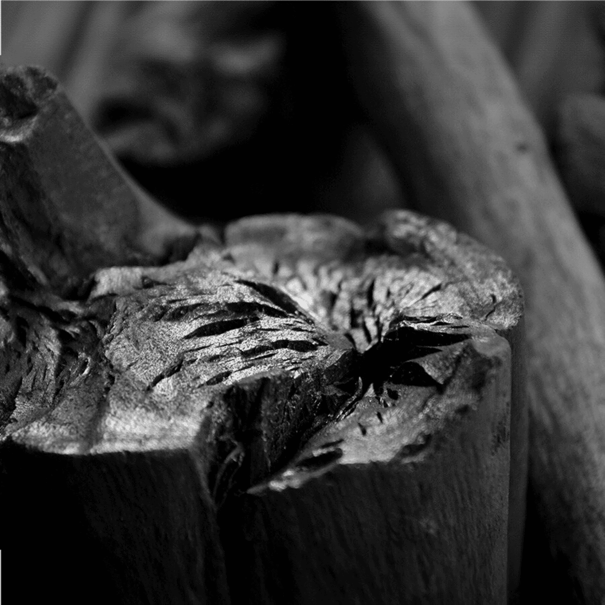 BBQ Flavour houtskool Binchotan Eucalyptus (1 kg)