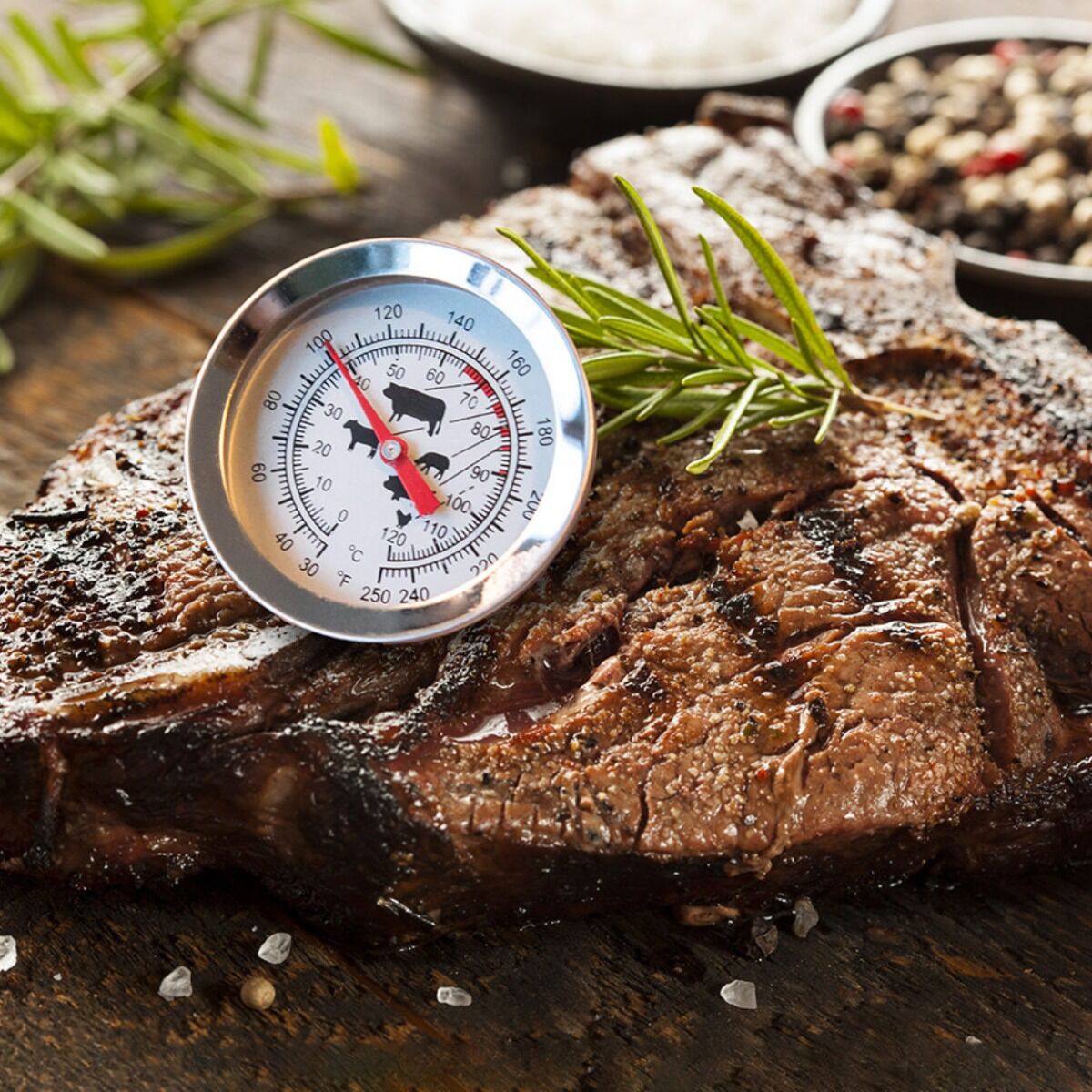 Esschert Vlees Thermometer