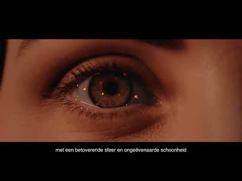 Dimplex Vista 130 III Opti-V 3 Zijdig