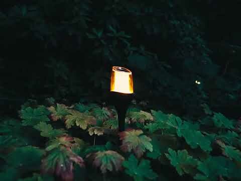 ZOLUNA Solar Priklamp Anky