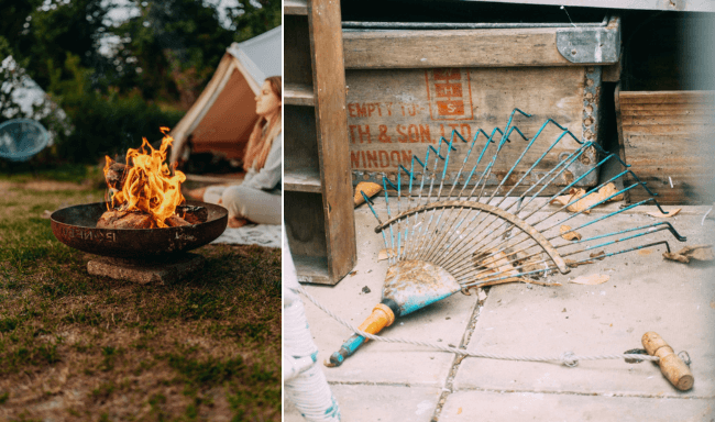 Bereidt de tuin voor op de herfstige dagen. Onze tips en adviezen. }